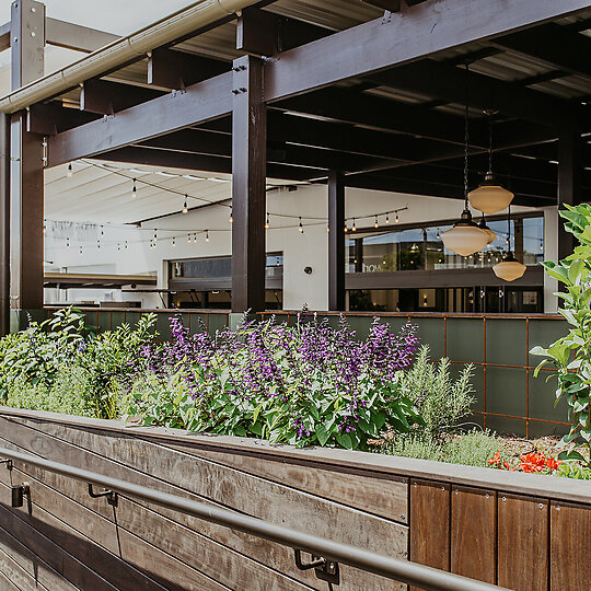 Interior photograph of King Tide Brewing by and the trees photography