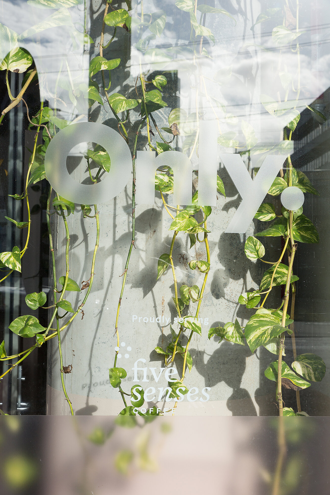 Only Specialty Coffee South Brisbane by Ma_JR Eat Drink Design Awards