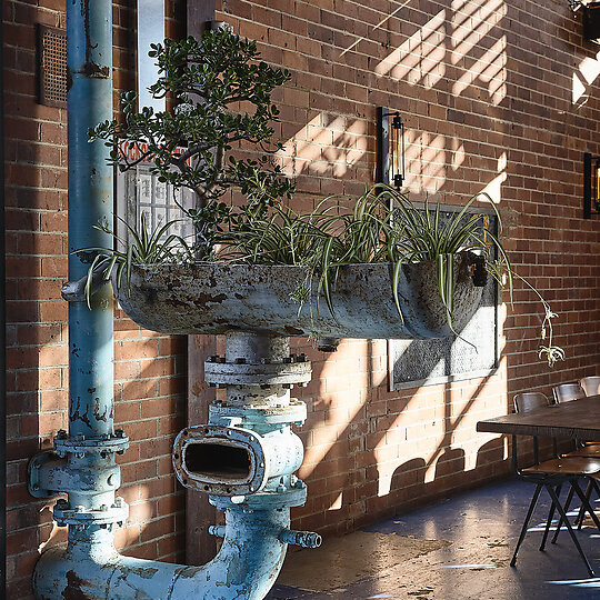 Interior photograph of Stomping Grounds Moorabbin by Derek Swalwell