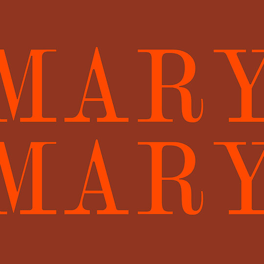 Interior photograph of Mary Mary Brand Identity by YMD