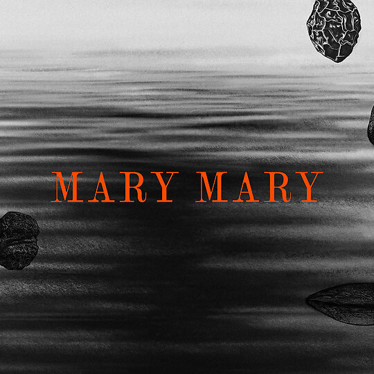 Interior photograph of Mary Mary Brand Identity by YMD